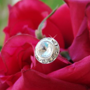 Couture Crystal Charm – Crystal Edition #0840