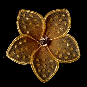 Hair Pin 903 Gold 61
